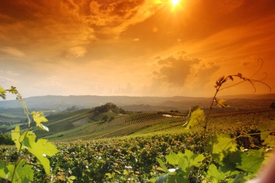 Le Langhe: tra gastronomia locale e vini d’eccellenza