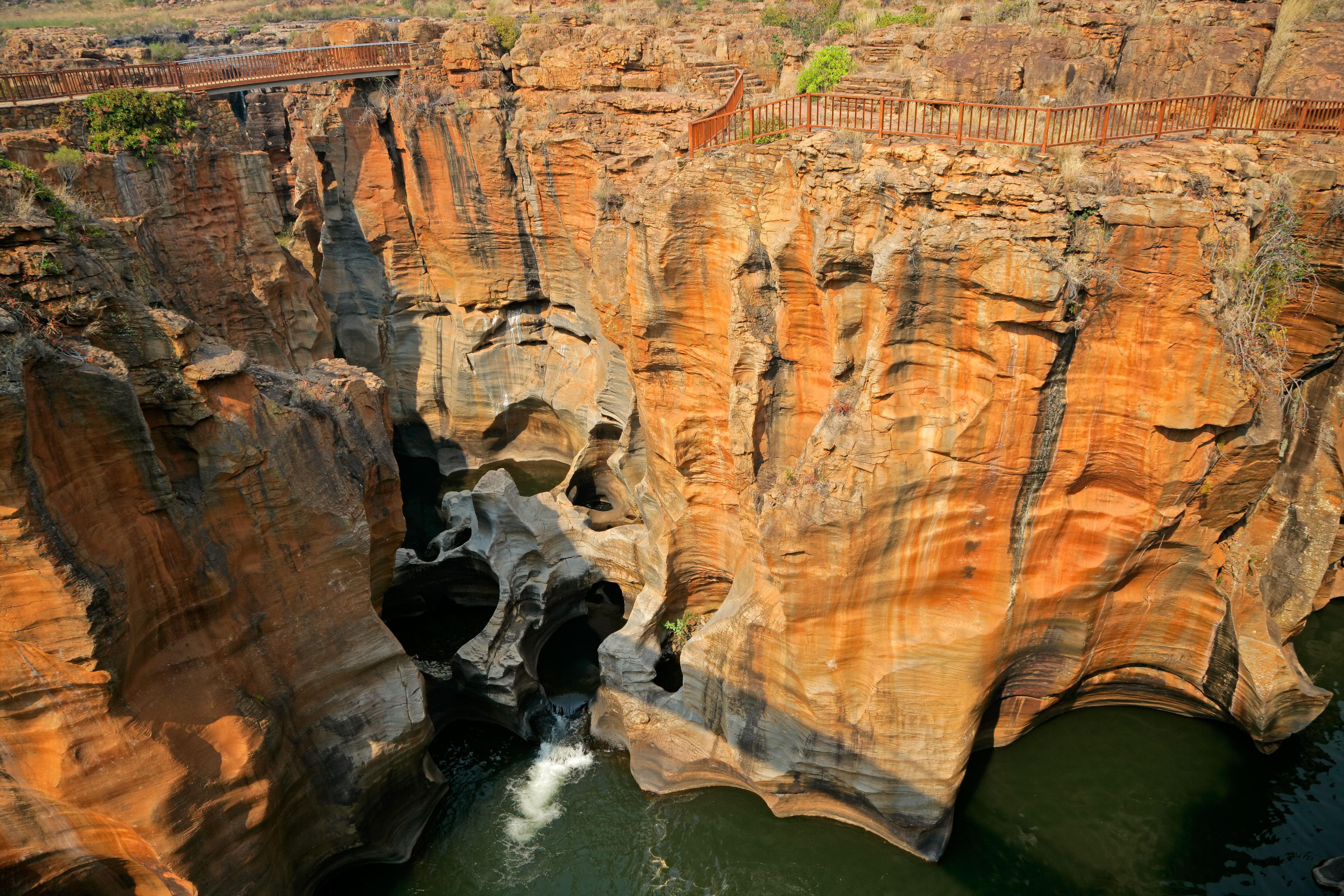 pathules mpumalanga