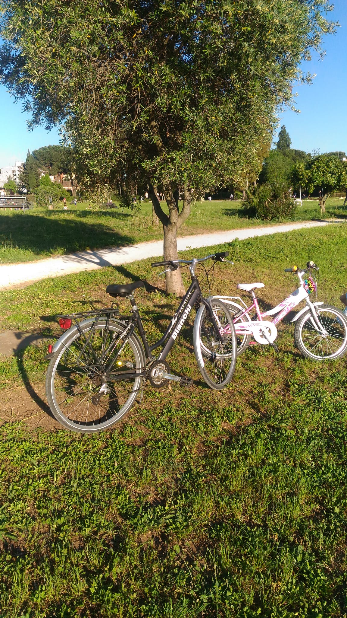 Bici al parco